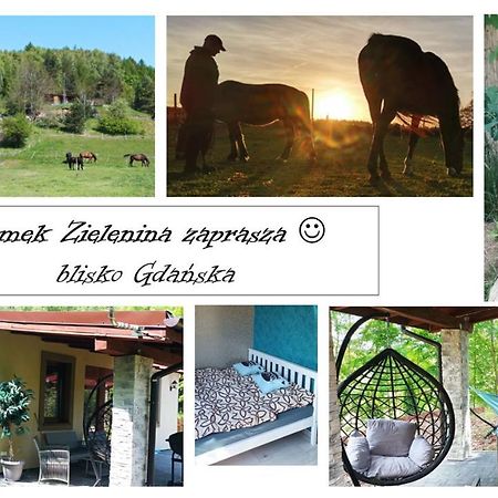 Domek Zielenina Mierzeszyn Εξωτερικό φωτογραφία