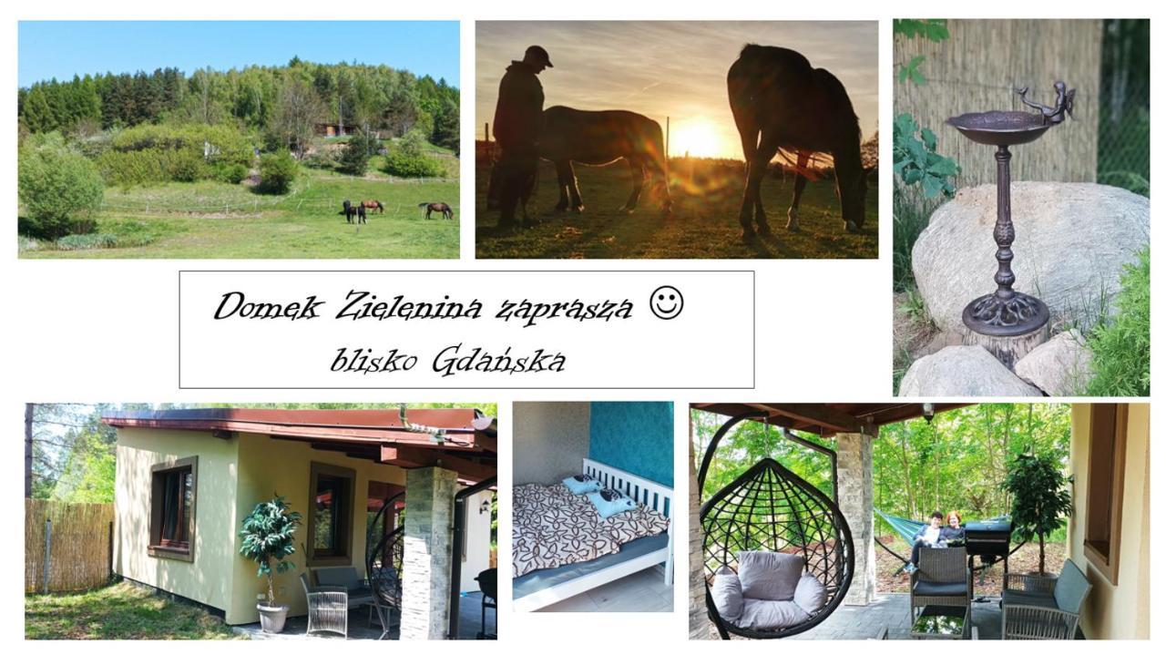 Domek Zielenina Mierzeszyn Εξωτερικό φωτογραφία